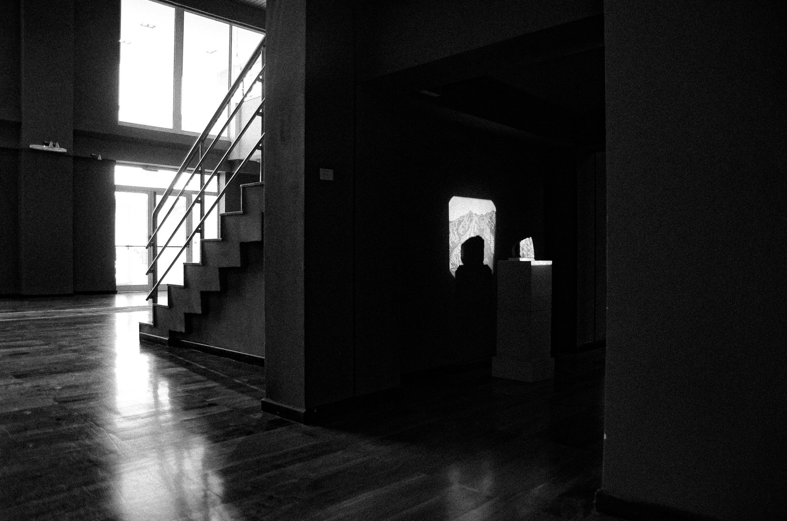DSC_7781